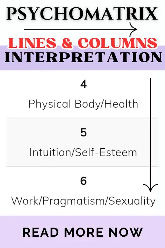 psychomatrix vectors interpretation
